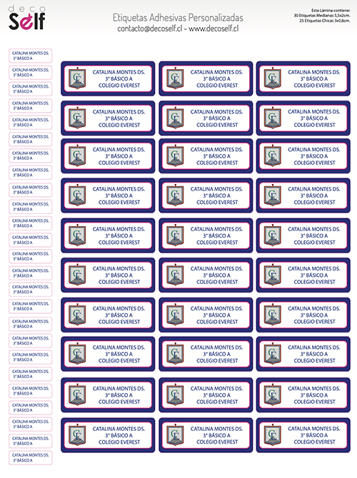 Etiquetas Adhesivas Colegio Everest