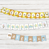 Banderines Baby Shower