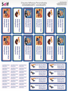 Etiquetas Adhesivas Hot Wheels