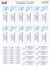 Etiquetas Adhesivas Pajaritos Azules