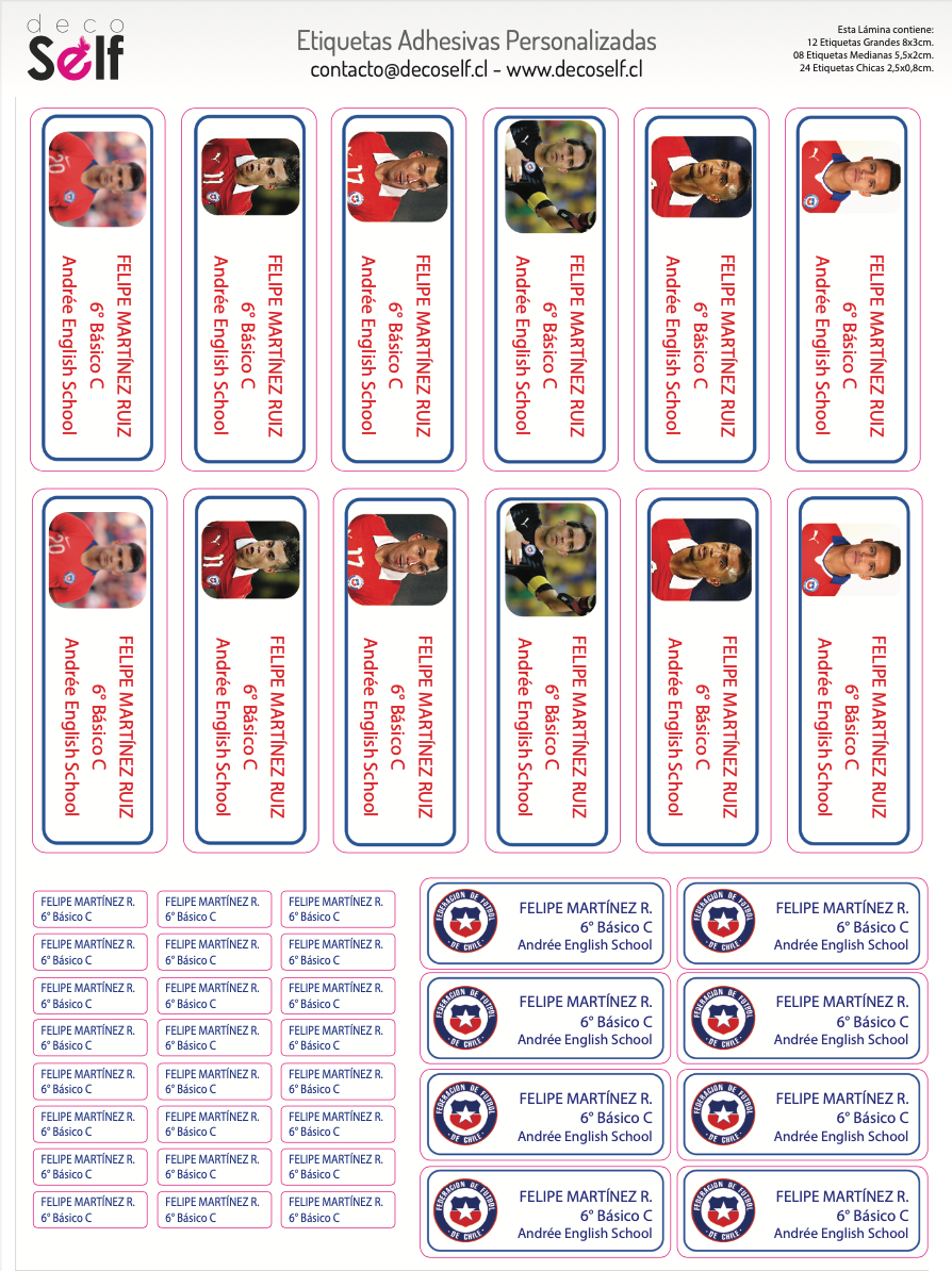 Etiquetas Adhesivas Selección Chilena "Generación Dorada"