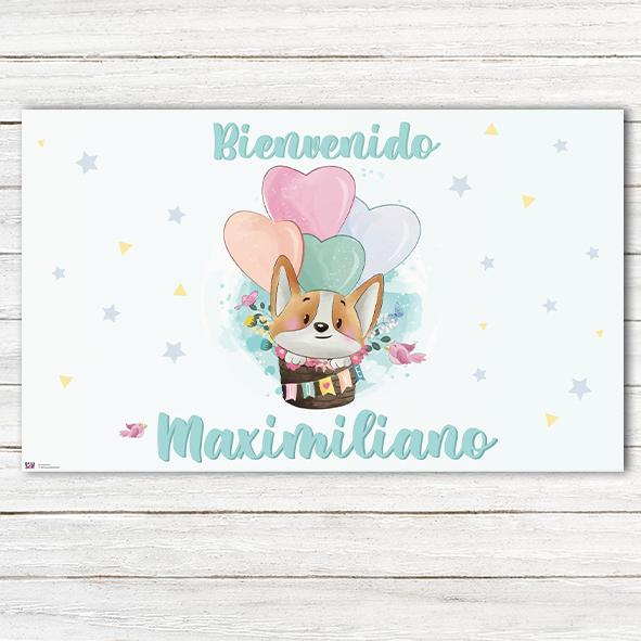Poster Baby Shower